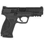 Smith and Wesson M&P9 M2.0 Black 9mm 4.25" Barrel 17-Rounds No Thumb Safety