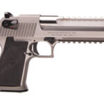 Magnum Research Desert Eagle 44 Mag Mark XIX Stainless Steel DE44SRMB