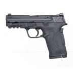 Smith & Wesson M&P Shield EZ380 180023