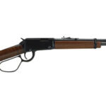 Henry Repeating Arms Henry Lever 22LR H001ML