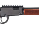 Henry Repeating Arms 22 Mag Magnum Express 19" Barrel H001ME