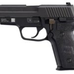 Sig Sauer P229 9mm Luger DA/SA NS M11-A1