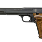 Smith & Wesson 41 22LR 130512