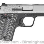 Springfield Armory 911 9mm PG9119S