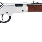 Henry Golden Boy Silver Youth 22 LR H004SY