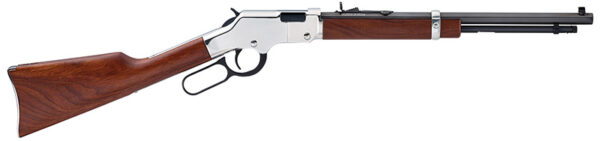 Henry Golden Boy Silver Youth 22 LR H004SY