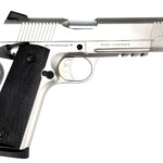 SDS Imports 1911 Duty Enhanced Stainless Steel Rail Gun 1911DSS45R