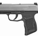 Sig Sauer 365 9mm Stainless 365-9-TXR3