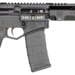 Diamondback DB15 Pistol 556 Nato 10" Barrel DB15PDPS10B