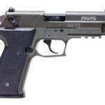 American Tactical Imports GSG Firefly 22 LR GERG2210FFG