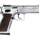 EAA European American Arms Witness Stock 2 9mm Chrome 600605