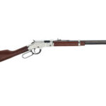 Henry Repeating Arms Silver Eagle 17 HMR H004SEV