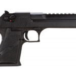 Magnum Research Desert Eagle 357 Mag Mark XIX 6" Barrel DE357