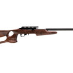 Magnum Research Magnum Lite 22M MLR22WMBW