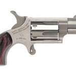 North American Arms Mini Revolver 22 LR NAA-22LR