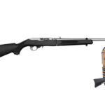 Ruger 10/22 Takedown 22 LR Stainless Steel 11100