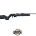 Ruger Davidson's Exclusive 10/22 22 LR Stainless Steel 21182