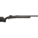 Savage Arms Model 10 FCP 308 HS Precision Stock 18139