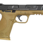 Smith & Wesson M&P 45 ACP FDE 109156