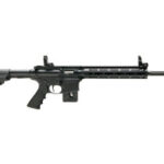 Smith & Wesson M&P15-22 PC 22 LR Performance Center MLok 10205