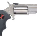 North American Arms Black Widow 22 Mag Stainless Steel NAA-BWMA