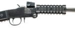 Chiappa Firearms Little Badger 17 HMR 16" Barrel 500.145