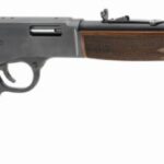 Henry Repeating Arms Big Boy Steel Carbine 45 LC H012CR