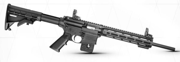 Smith & Wesson M&P15-22 Sport 22 LR CT/MA/MD Compliant 10207