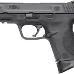 Smith & Wesson M&P45c Compact 45 ACP 3 Mags Night Sights 109108