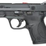 Smith & Wesson Shield 9mm 3.1" Black 7&8rd California Compliant