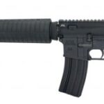 Palmetto State Armory PSA Classic Freedom AR-15 508052