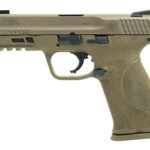 Smith & Wesson M&P 2.0 9mm 4.25" 17r FDE Truglo Tfx 11767