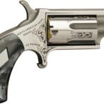 NAA DAD Mini-Revolver .22 wmr Engraved 1 Of 300 NAA-22MS-DAD