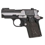 Sig P238 380 ACP Equinox Duo Tone Truglo Ns 238-380-EQ