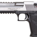 Magnum Research Desert Eagle 50 AE DE50ASIMB