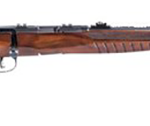 Savage Arms B22 17 HMR Bolt Action 21" Barrel 70810