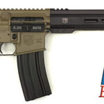 Diamondback - DB15, 300 BLK, 16" Barrel, 15" M-LOK Rail, Collapsible Stock, Black/FDE, 30-rd DB15YP300FDE