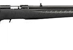 Ruger American 17 HMR Compact 8313