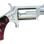 North American Arms Mini-Revolver 22 Mag Iron Valley Exclusive NA22MSGPPR