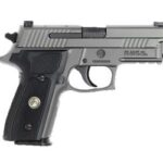 Sig Sauer P229 Legion 9mm 15 Round Capacity E29R-9-LEGION