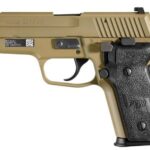 Sig Sauer P229 9mm Luger M11-A1-D