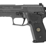 Sig Sauer P229 Legion SAO NS 9mm E29R-9-LEGION-SAO