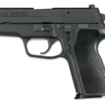 Sig Sauer P229 9mm Luger SAS DA/SA NS E29-9-SAS2B