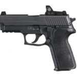 Sig Sauer P229 RX 9mm Luger E29R-9-BSS