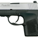 Sig Sauer P290 380 ACP two tone NS 290RS-380-TSS