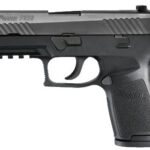 Sig Sauer P320 Carry 9mm Luger 320CA-9-BSS