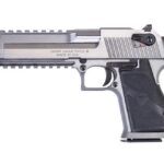 Magnum Research Desert Eagle 429DE 6" MK XIX SS DE429SRMB