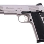 Tisas Regent P45 1911 45 ACP Stainless