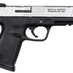 Smith & Wesson SD40 40 S&W 223400