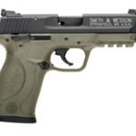 Smith & Wesson M&P22C FDE 22 LR M&P 22 Compact Threaded Barrel 10242